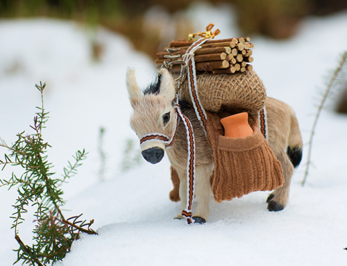 Donkey’s Day Out in Snow